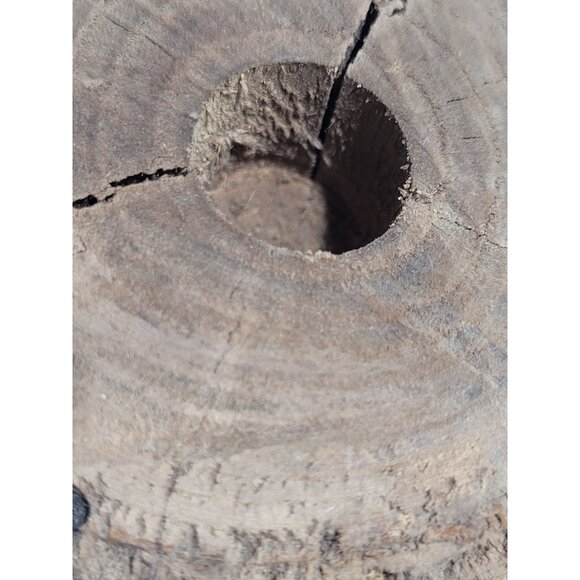 Hand Crafted Wood Tree Log Bark Candle Holder Shelf Decor 10.5" Rustic Cabin - Picture 6 of 10